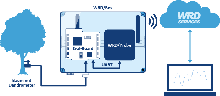 Schema des Feldtest-Setups mit WRD/Box und WRD/Probe
