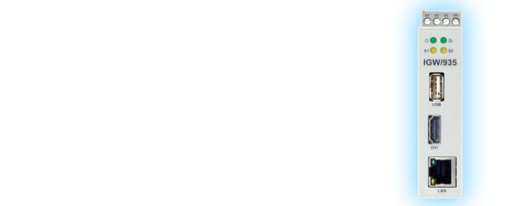 IGW/935: Web Application Gateway